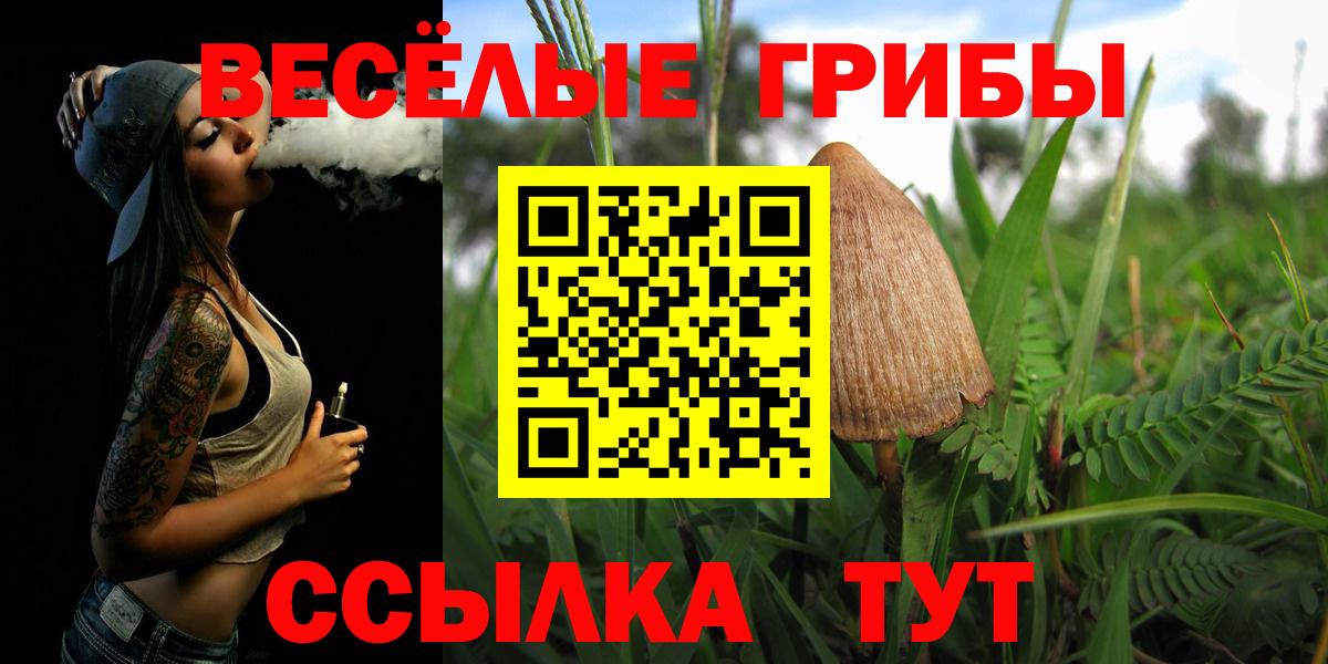 Анапа  Псилоцибиновые грибы MAGIC MUSHROOMS  Вход с VPN 
