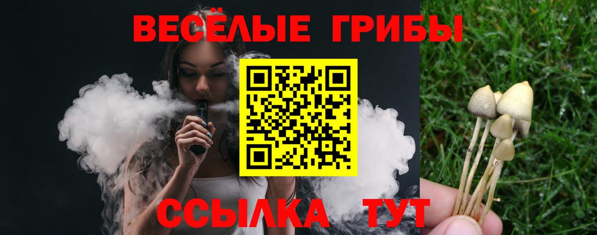 Галлюциногенные грибы мицелий Анапа